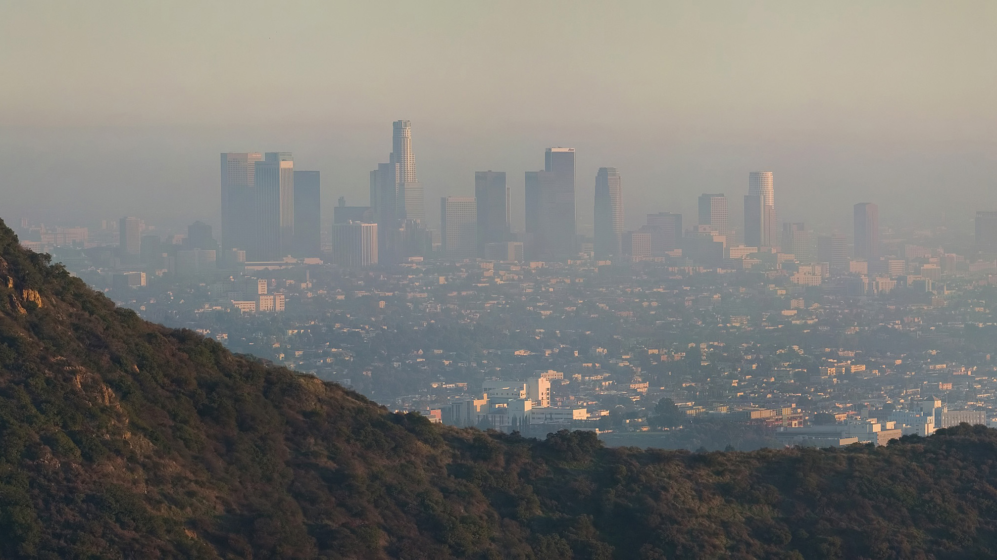 Los Angeles’s skyscrapers appear hazy in the distance due to brownish orange smog. A slope of Mount Hollywood is seen in the foreground.