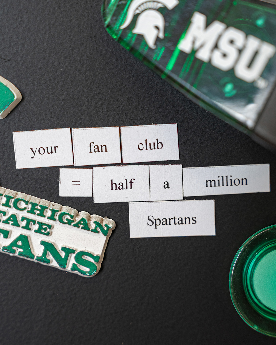 Fridge magnets forming your fan club = half a million Spartans