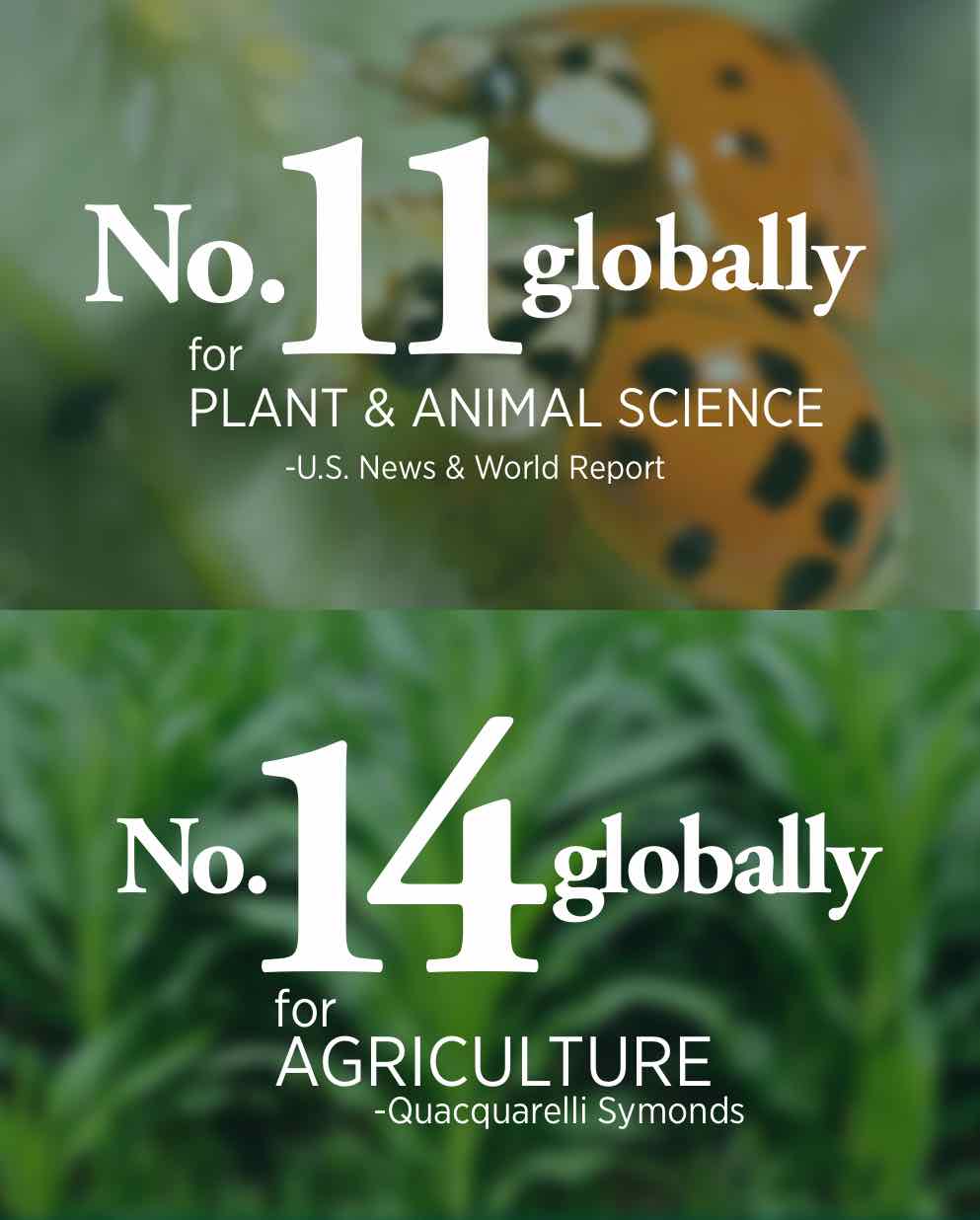 The Scientists Helping Agriculture Adapt To A Changing Planet MSUToday Michigan State University the-scientists-helping-agriculture-adapt-to-a-changing-planet-msutoday-michigan-state-university