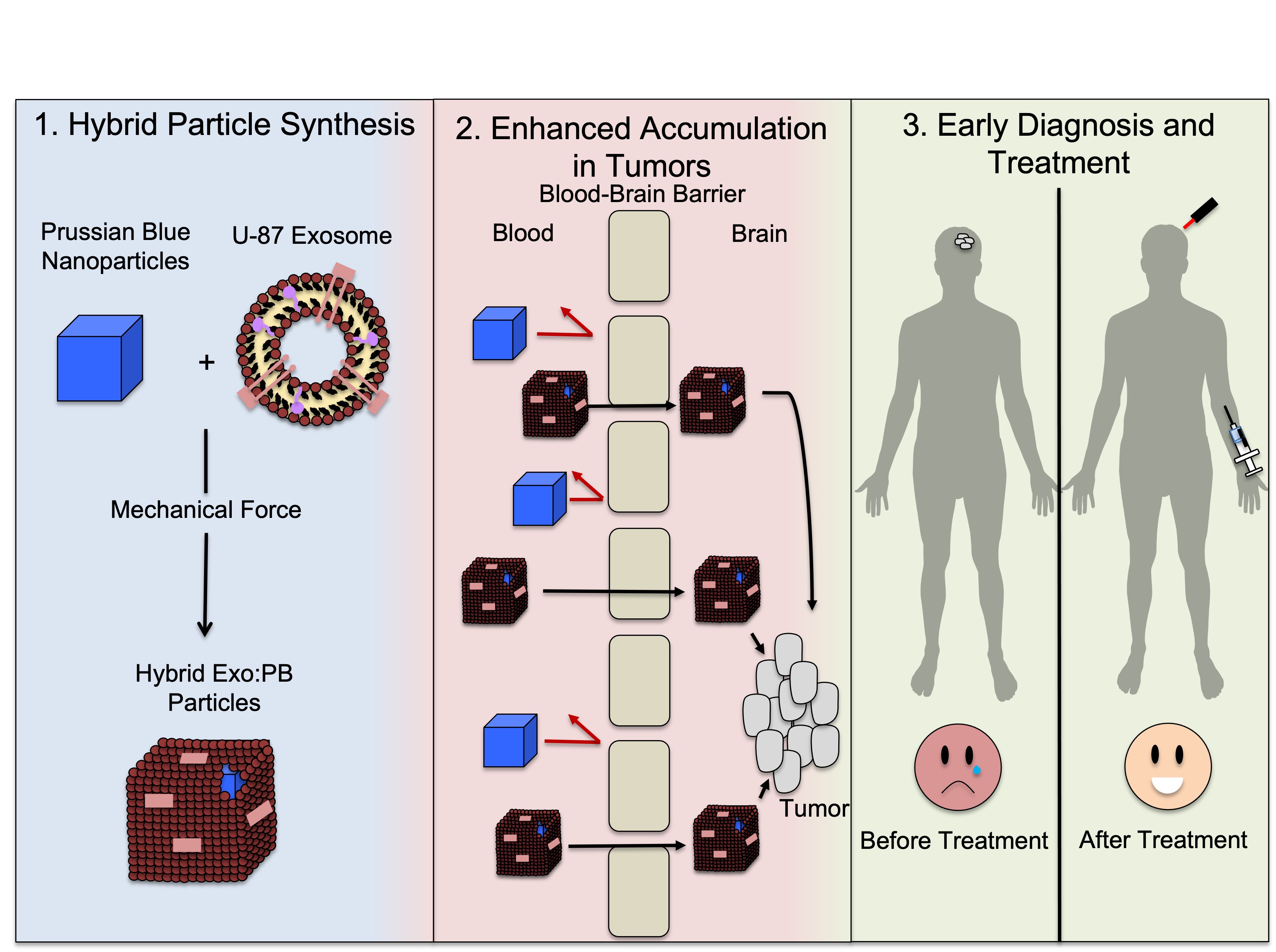 Using Prussian Blue Nanoparticles To Diagnose And Treat Brain Cancer ...