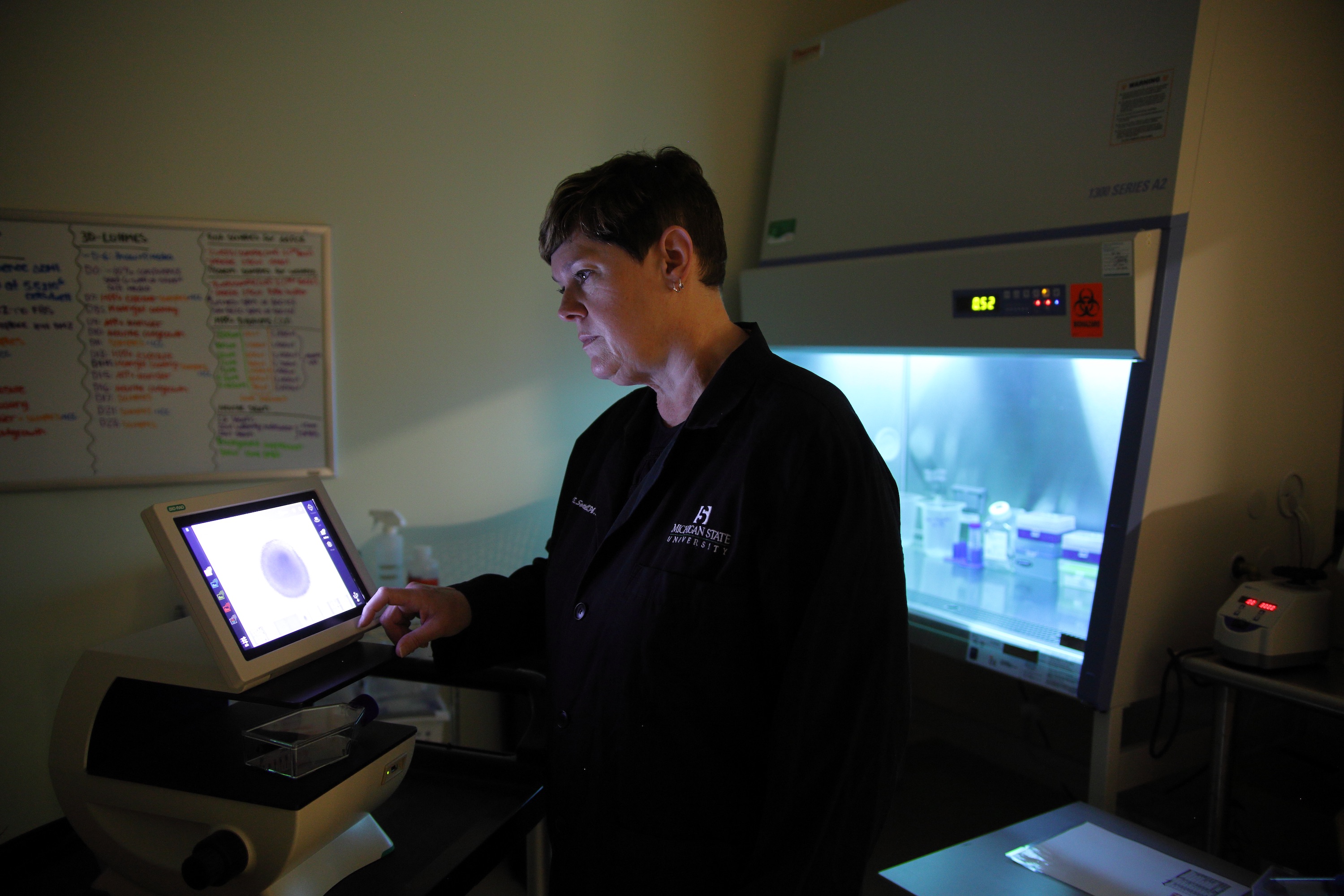 A woman looks with a black lab coat looks at an image of a grey circle on a screen with a cooling piece of lab equipment behind her