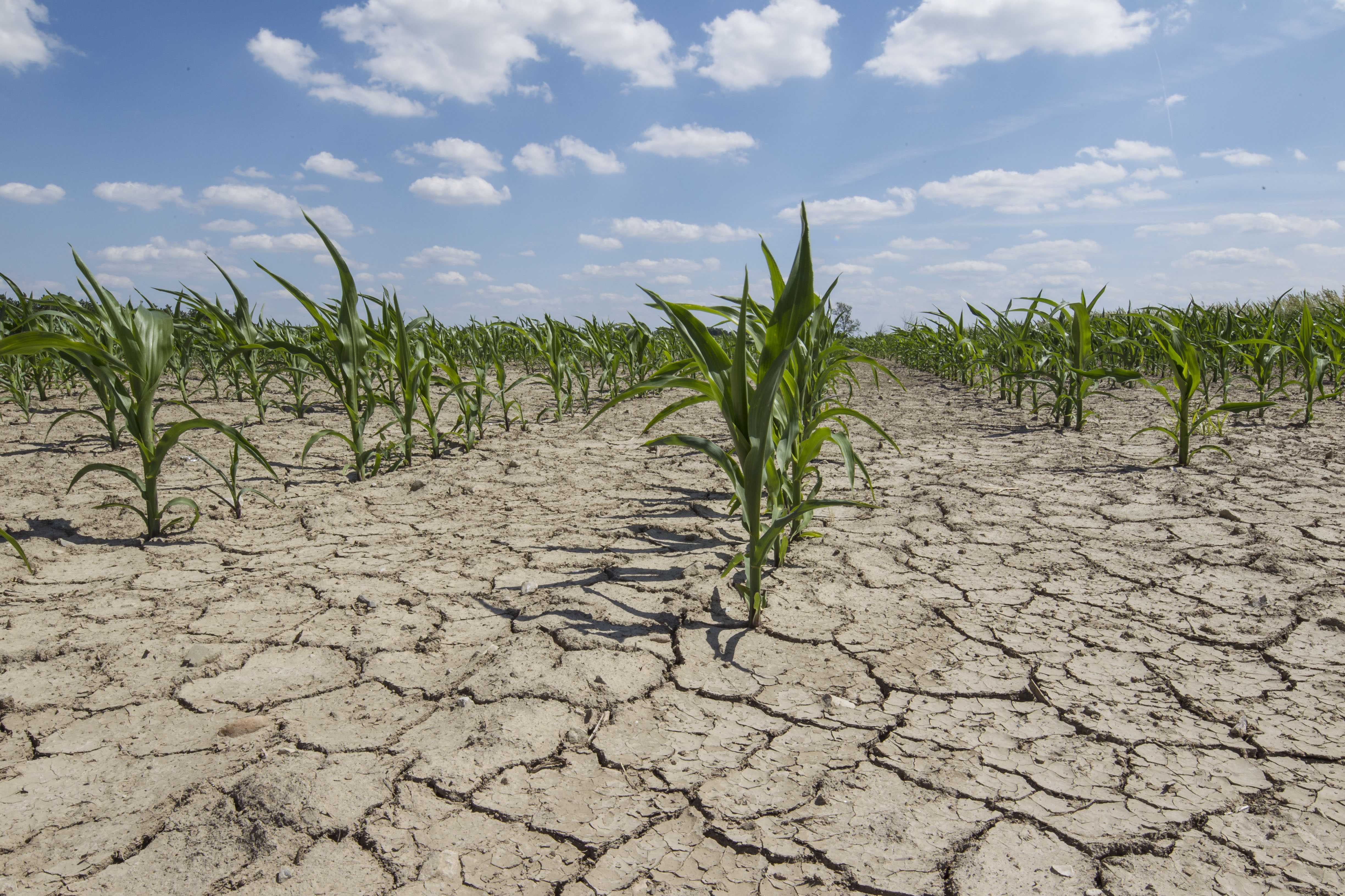 New Agricultural Climate Resiliency Program funds four projects ...