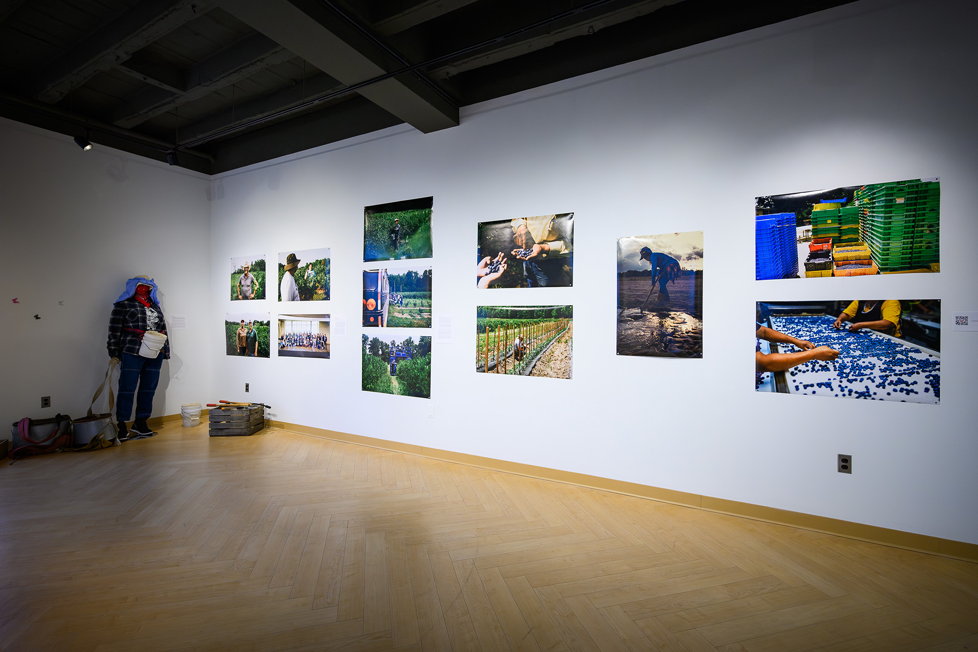 large photography prints on an exhibition wall
