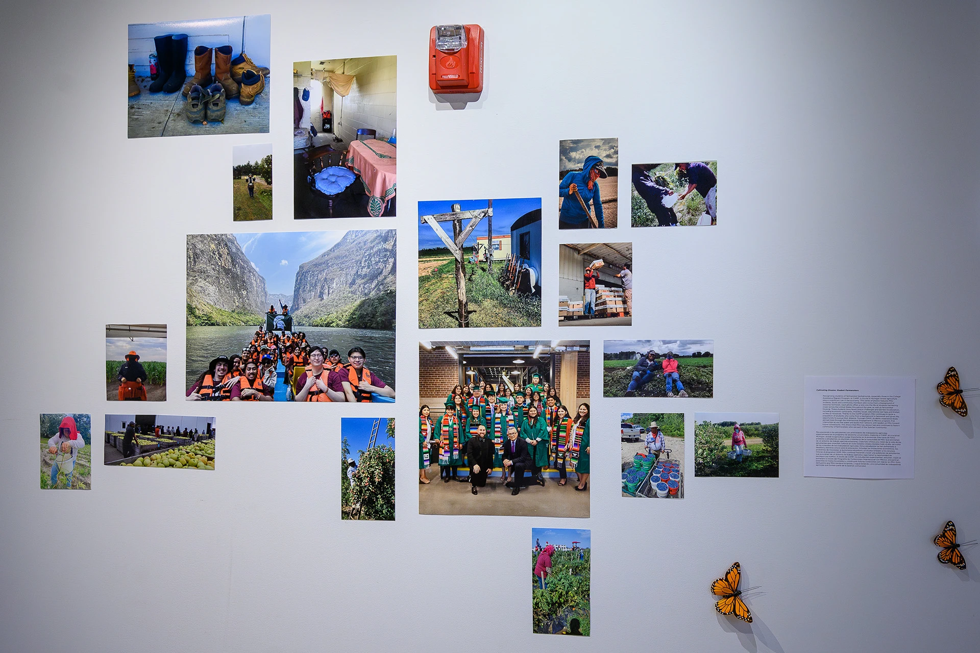 grid of photos submitted by migrant farmworker students depicting various experiences from the field to higher education