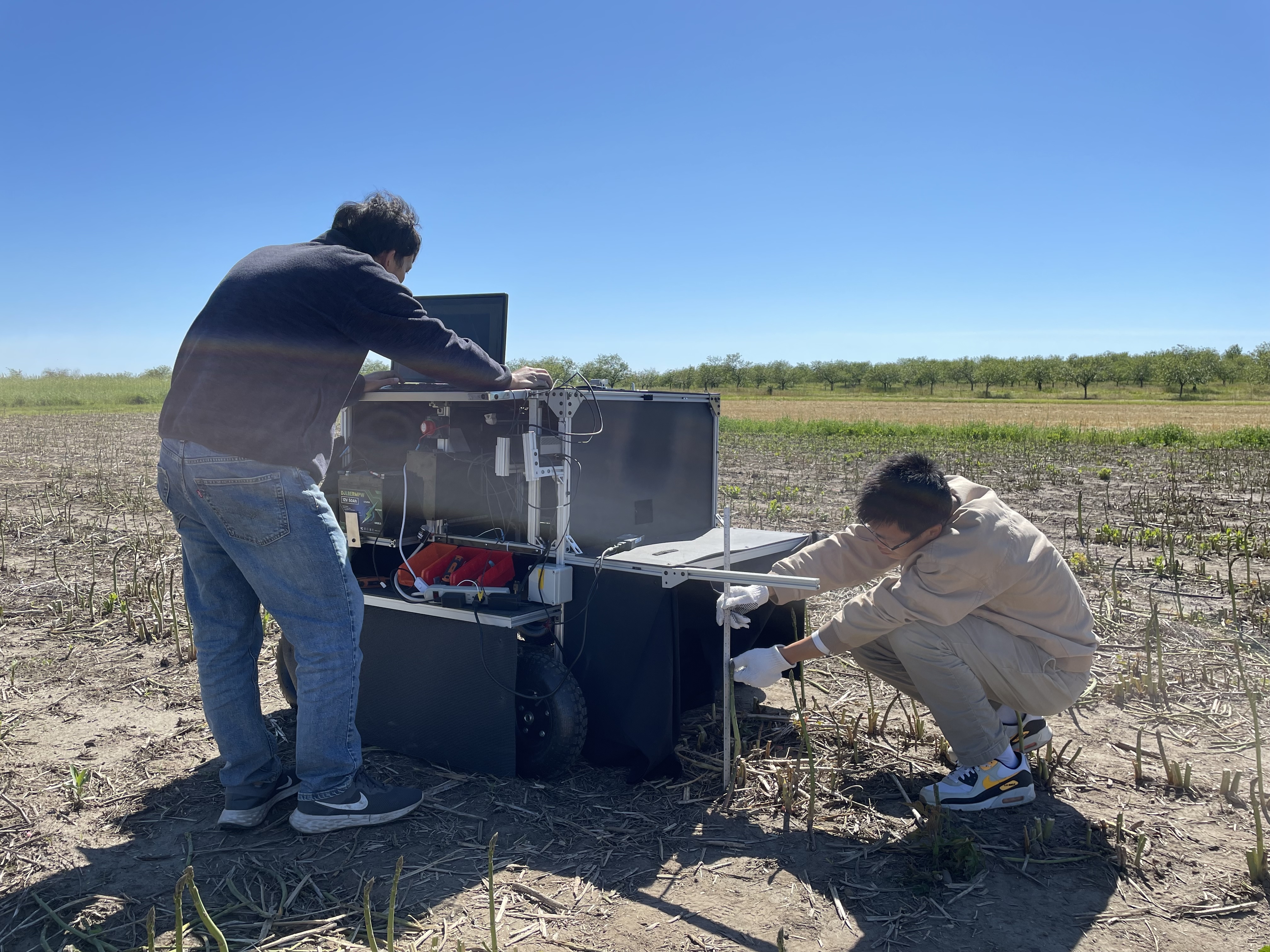 Yuzhen Lu's team conducting field imaging of asparagus