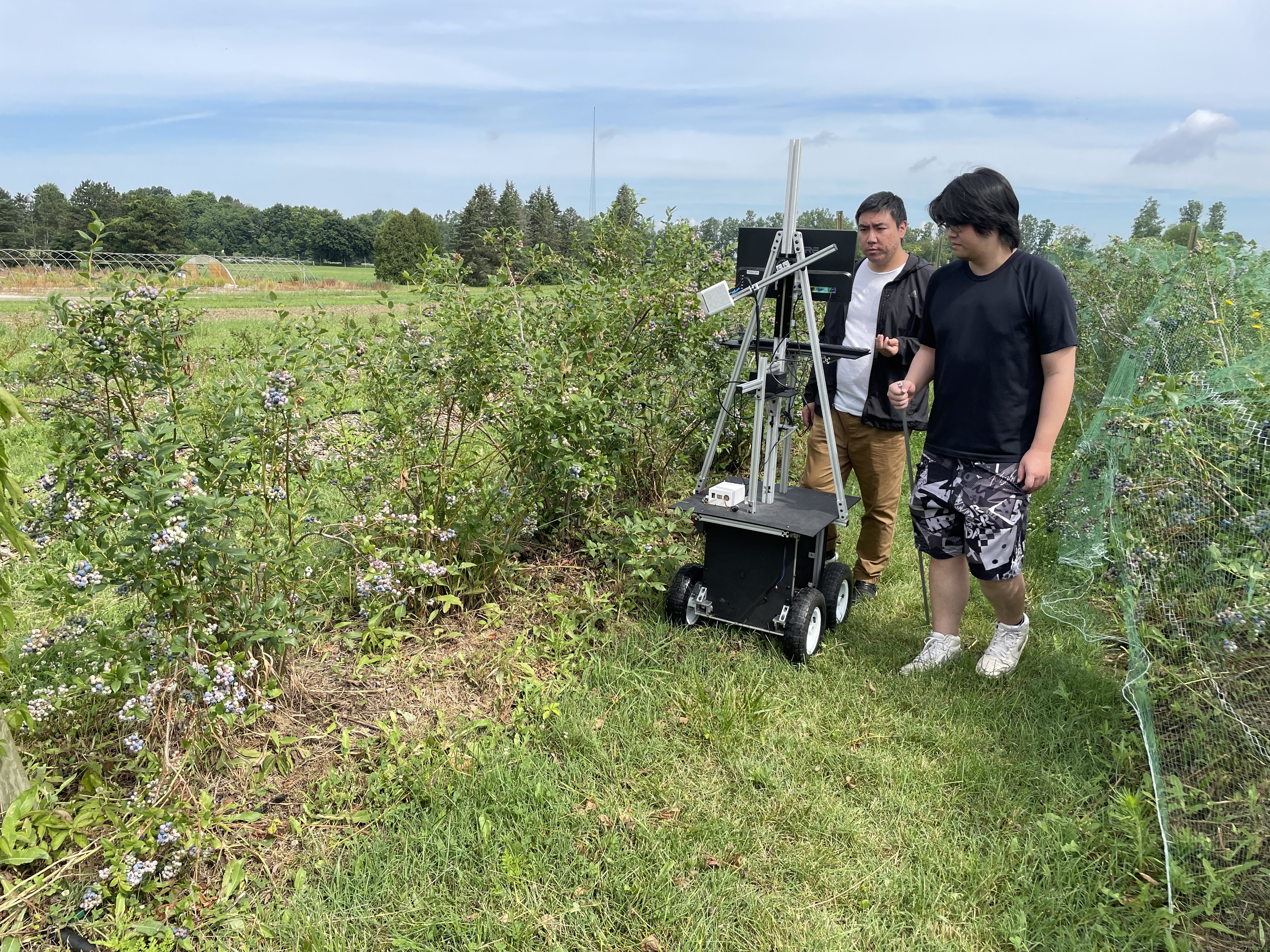 Yuzhen Lu's team conducting field imaging of blueberries