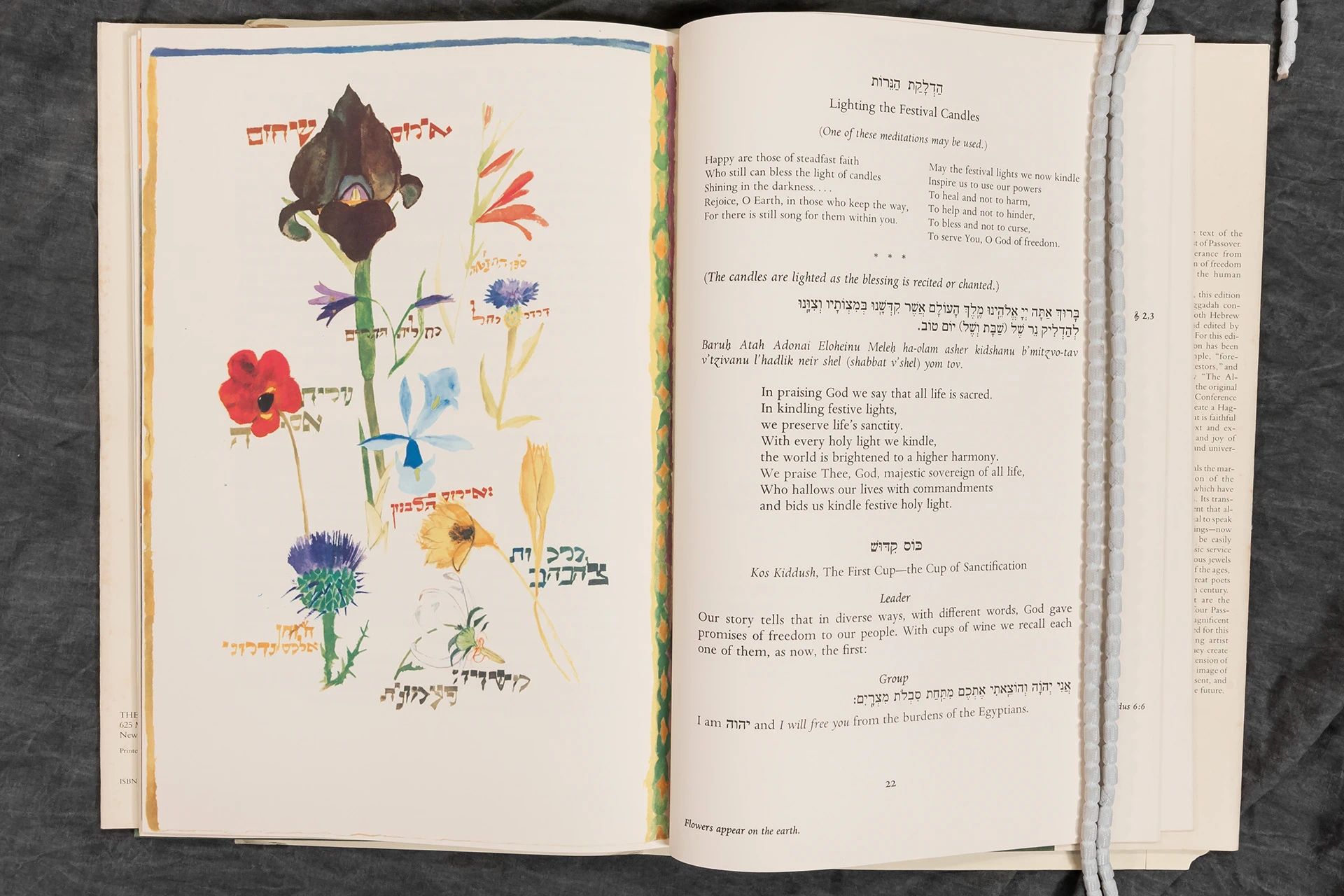 Haggadah book open to pages with flower drawings and text