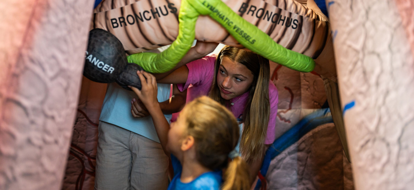 What are you made of? Find out at the new ‘Organ Adventure’ exhibit at Impression 5 Science Center | MSUToday