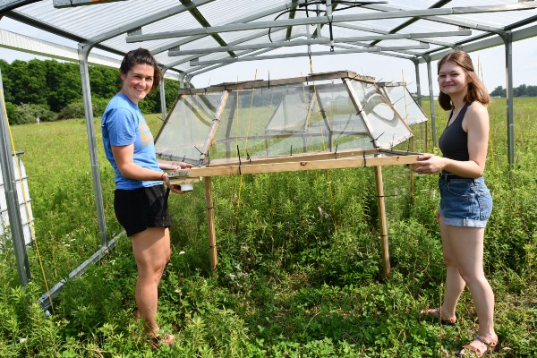 Open top chambers beneath rainout shelters at Kellogg Biological Station LTER with members of the MSU SpaCE Lab, Kara Dobson (right) and Moriah Young (left). Photo: Phoebe Zarnetske.