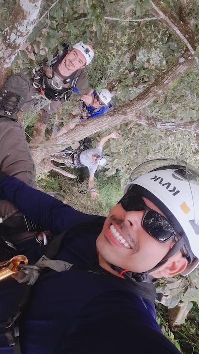 Leonardo Ziccardi in the tree canopy with fellow researchers.