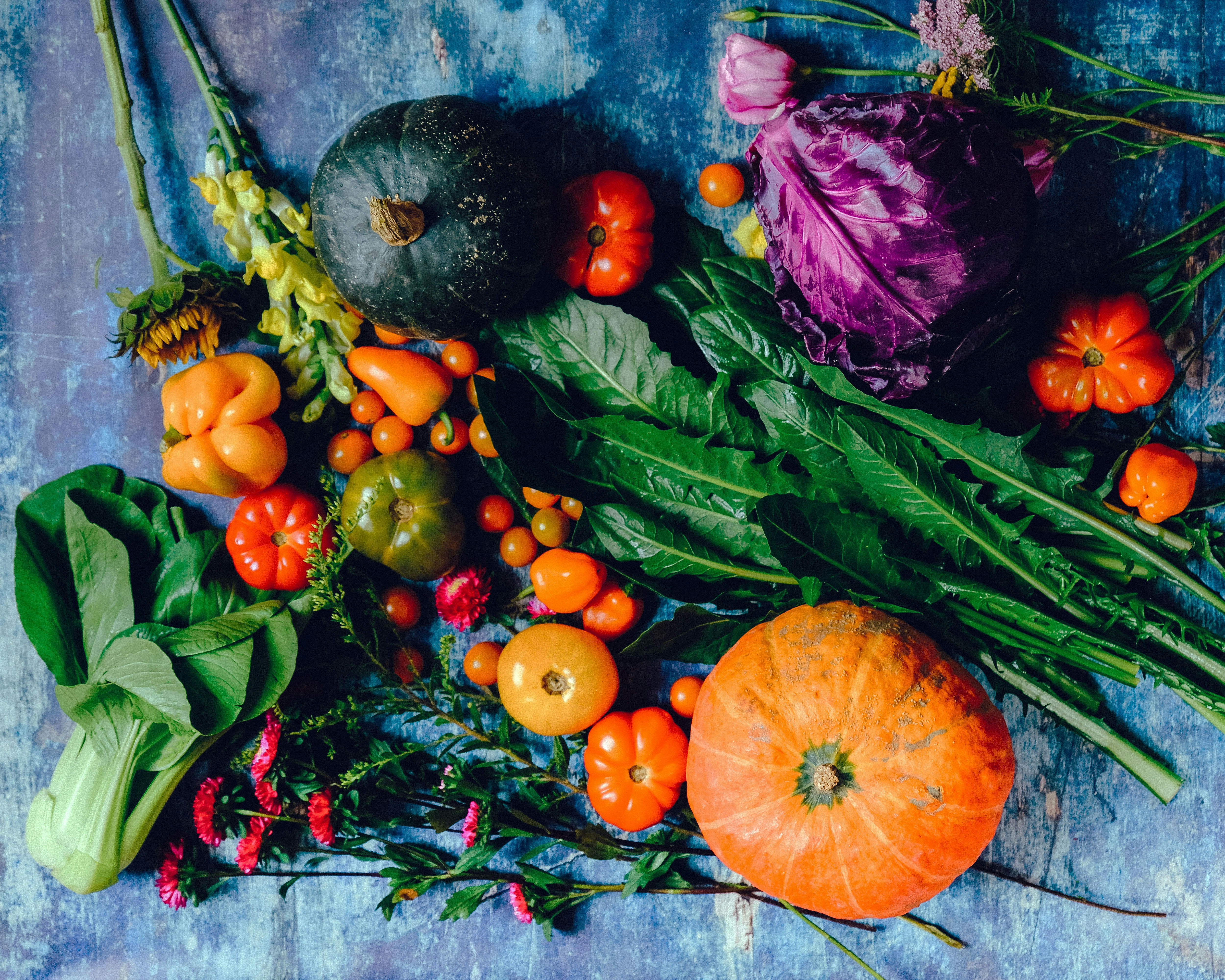 Plants and vegtables