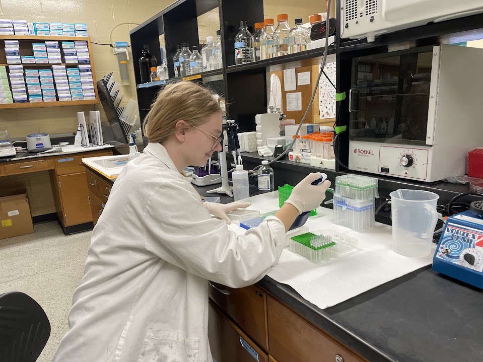Emily Tryc conducts research in the laboratory