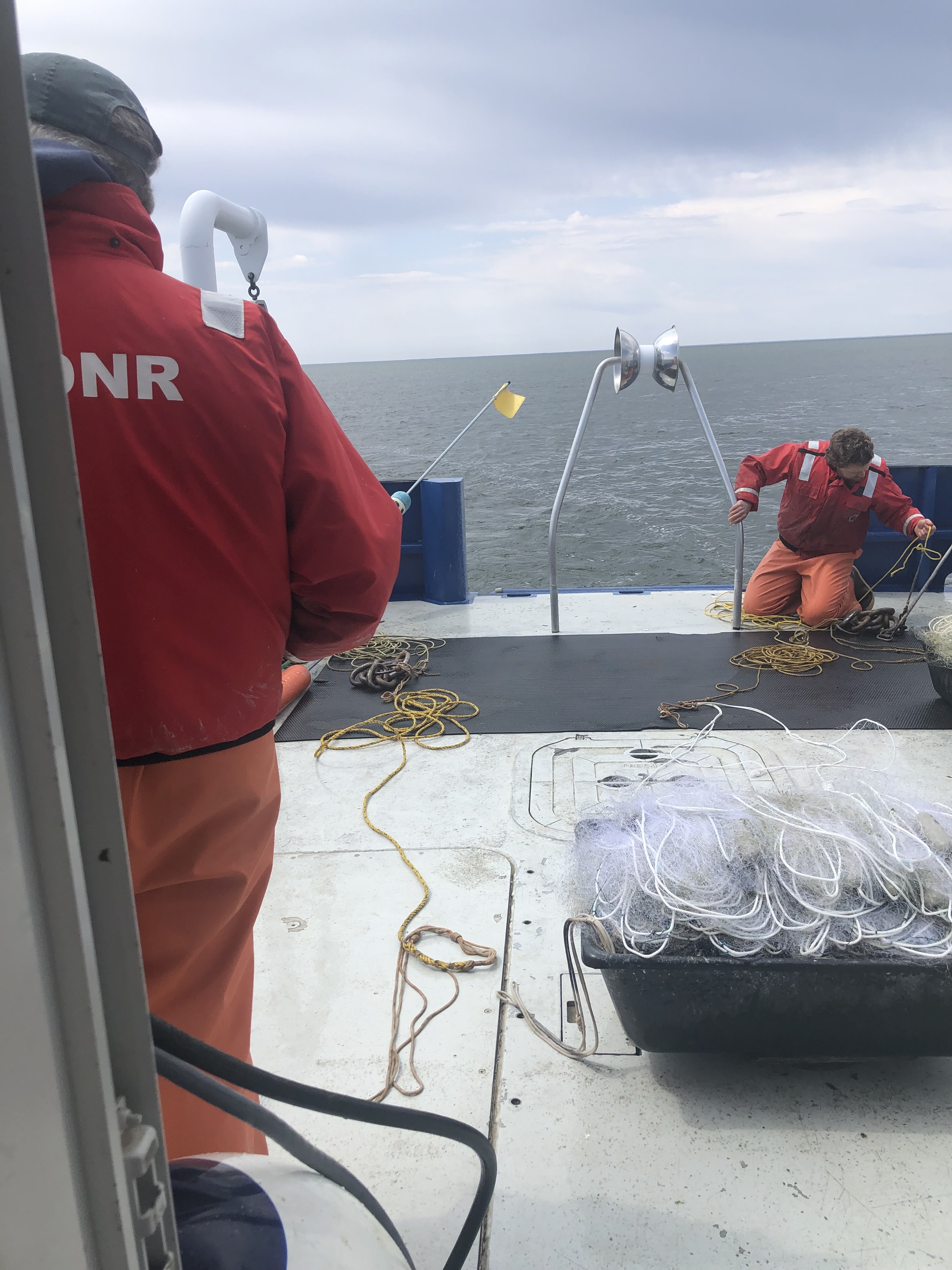 Fisheries biologists tend a gill net