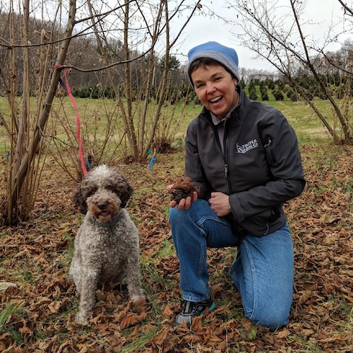 Lois Martin and Monza collecting truffles in a North American truffle orchard.