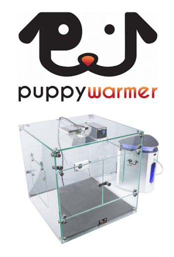 The puppy warmer