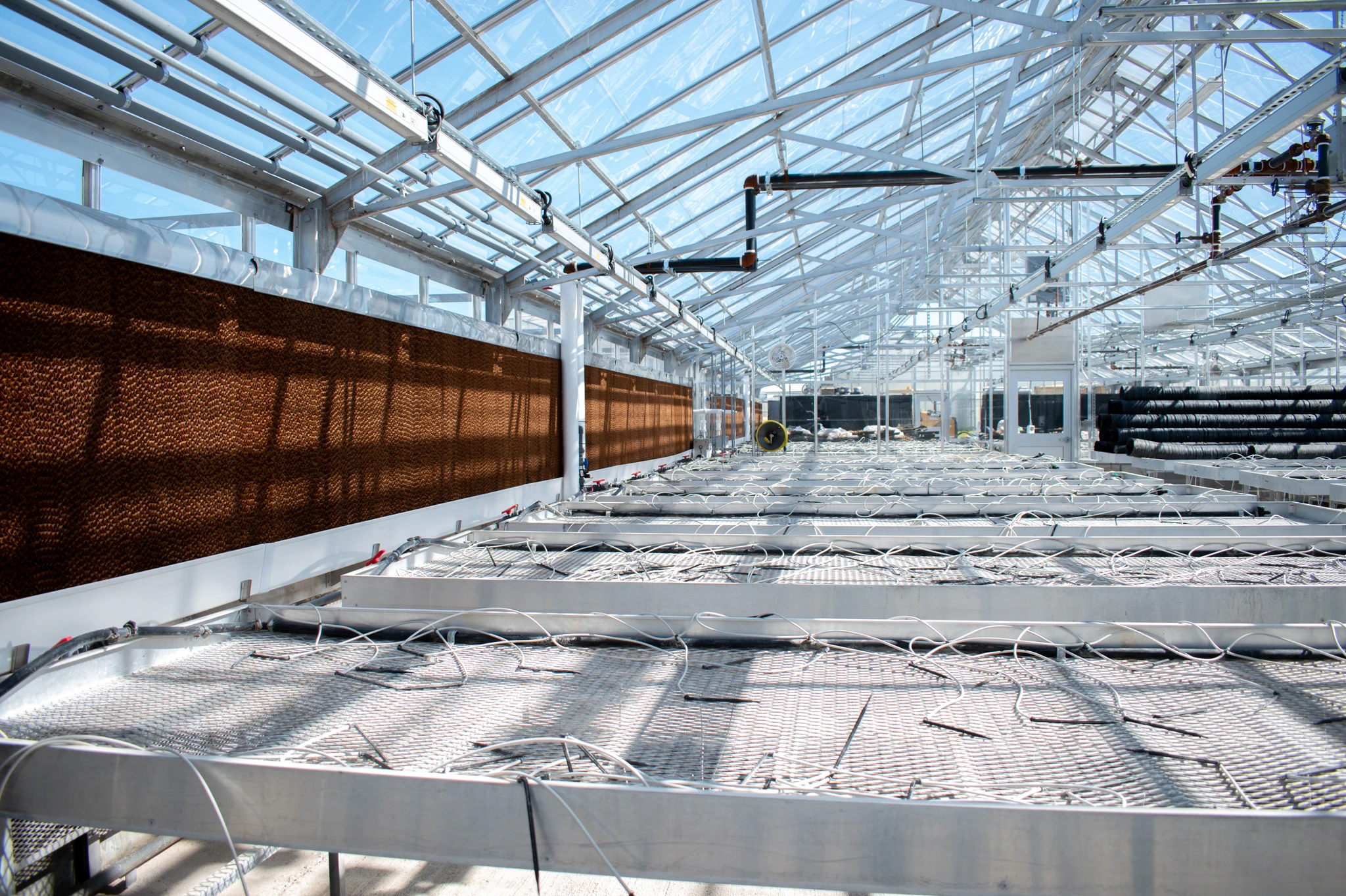 Infrastructure inside a newly renovated greenhouse at the MSU Plant Science Research Greenhouse Facility.