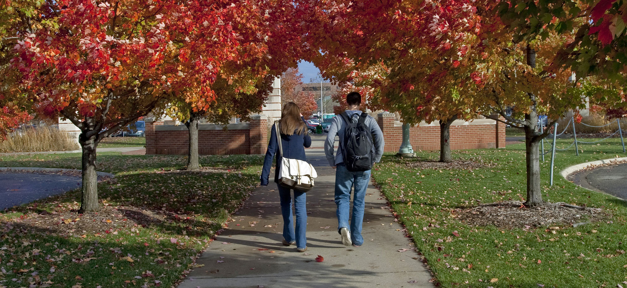 MSU plans for more typical fall semester MSUToday Michigan State